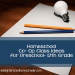 Homeschool Co Op Class Ideas for PreK- 12th Grade